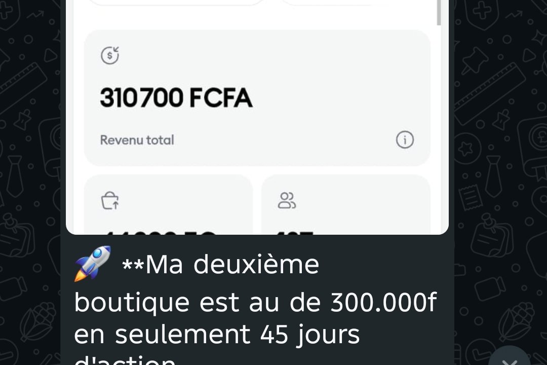 Capture d'écran montrant 310 700 FCFA de revenu total