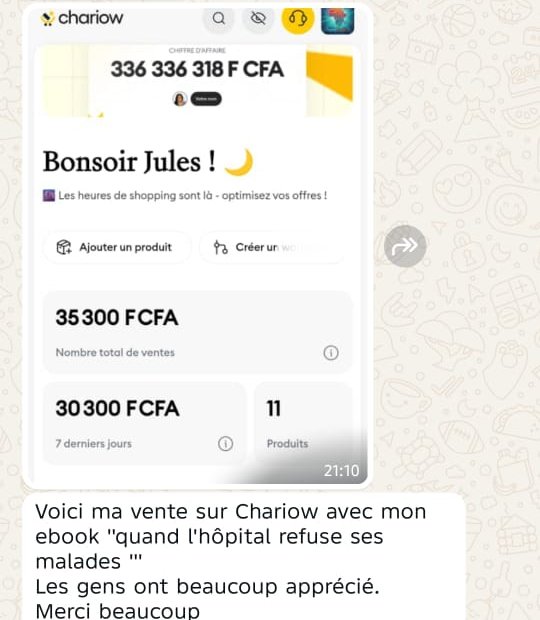 Capture d'écran Chariow montrant 336 336 318 FCFA de chiffre d'affaires